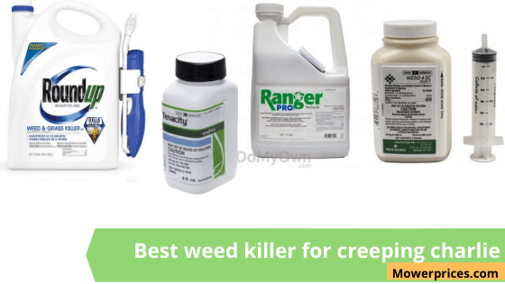 Best Weed Killer For Creeping Charlie Out Top 7 Choices